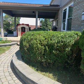 Bush Trimming by Young's Pressure Washing & Landscaping LLC reviewed on August 21, 2025