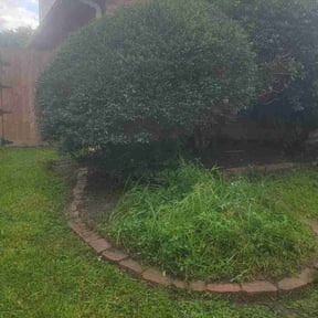 Bush Trimming by GT-Ra Tasking Group reviewed on August 19, 2025