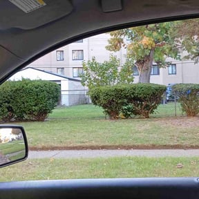 Bush Trimming by Kelsie's lawn pros reviewed on August 16, 2025