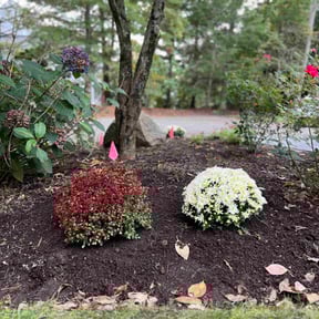 Flower Bed Weeding by Weekend Warrior Landscaping reviewed on November 10, 2025