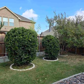 Bush Trimming by Cyber Ninja HTX reviewed on November 18, 2025