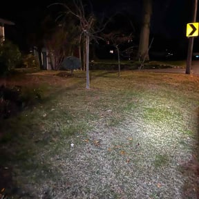 Leaf Removal by Cut Lawn Clan reviewed on November 20, 2025