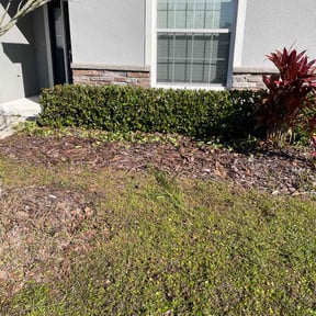 Bush Trimming by PNC Delivery Express reviewed on August 19, 2025