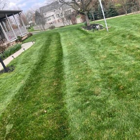 lawn maintenance by No Mow Worries Lawn Care reviewed on October 11, 2023