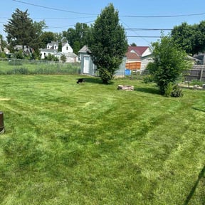 landscaping by T&amp;D lawn care reviewed on January 2, 2026