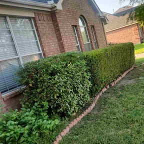 Bush Trimming by S.O.S Lawn Care and Maintenance reviewed on November 22, 2025