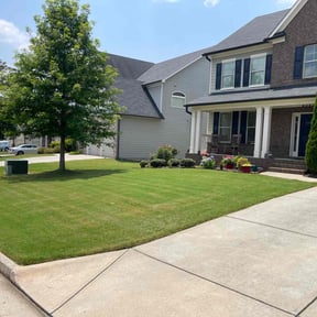 landscaping services by Green For You  reviewed on November 29, 2025