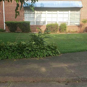 Leaf Removal by Terry Lawncare reviewed on September 12, 2025