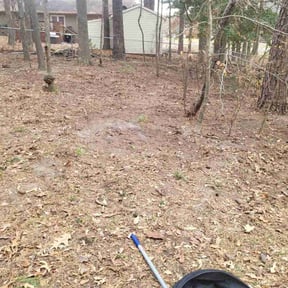 Leaf Removal by Under Cut Home and Lawn Services reviewed on August 4, 2026