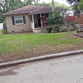 Leaf Removal by A Closer Look Residential Inspections LLC reviewed on June 2, 2022