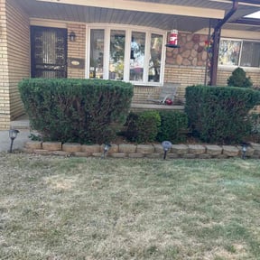 Bush Trimming by Garden Gangster Landscape Restoration Specialists reviewed on October 21, 2025