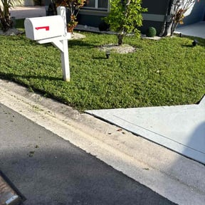 yard maintenance by D&amp;D Lawn Care Services reviewed on November 22, 2025