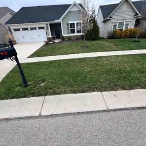 lawn care services by Stephen Reynolds reviewed on May 1, 2024