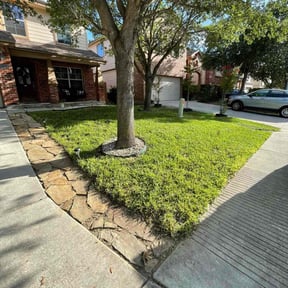 grass cutting by Matt’s lawn care reviewed on August 18, 2025