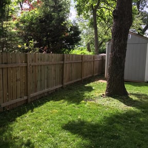 Bush Trimming by Grade A landscaping reviewed on August 16, 2025
