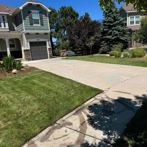 yard service by Cannon Lawn & Landscapes LLC reviewed on August 15, 2025