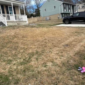 Leaf Removal by Tforcelawns Maintenance reviewed on August 18, 2026