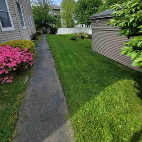 grass maintenance by Jm landscape reviewed on May 25, 2024