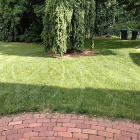 yard care by SHOWERS AND SONS LANDSCAPING LLC. reviewed on August 17, 2025