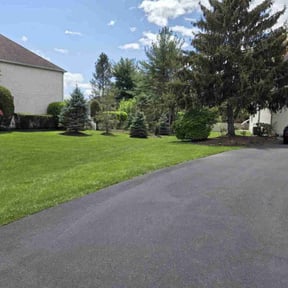 yard work by Island Life Business Ventures, LLC reviewed on August 21, 2025