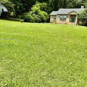 lawn care by The Shaquille Davis Group llc. reviewed on August 23, 2024