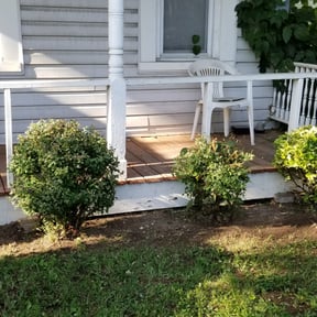 Bush Trimming by lawn services reviewed on August 18, 2025