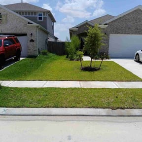 grass cutting by Harvey Handy &amp; Lawn reviewed on May 7, 2025