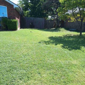 yard maintenance by TJ Lawn Care reviewed on August 18, 2025