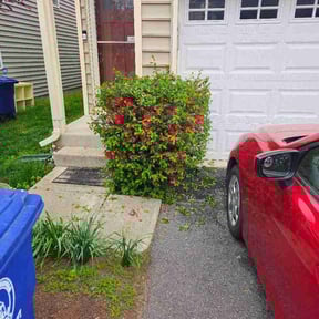 Bush Trimming by Green Gods LLC reviewed on April 10, 2026