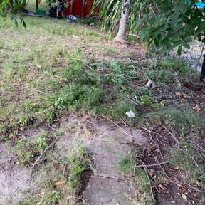 Leaf Removal by J &amp; L Lawncare Services LLC reviewed on November 10, 2025