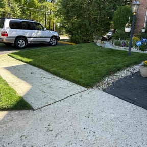 yard care by Discount Mowing reviewed on December 6, 2025