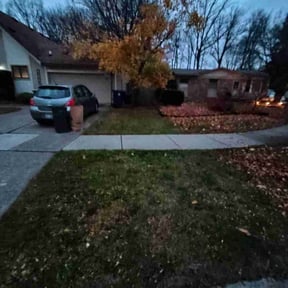 Leaf Removal by 4 Family Lawn Care reviewed on September 8, 2025