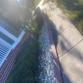 Bush Trimming by Landscaping reviewed on August 3, 2025