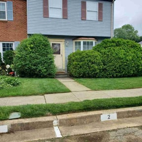 yard maintenance by Hector&#039;s reviewed on November 23, 2025