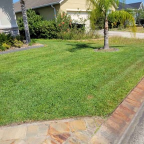 turf maintenance by T&M Lawn Services reviewed on April 19, 2024