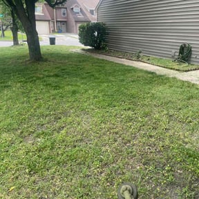 Bush Trimming by Ndebay Landscapping reviewed on August 17, 2025