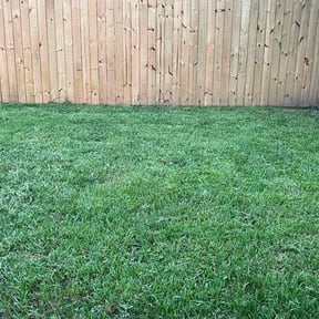 gardening service by Messenger landscaping reviewed on August 16, 2025