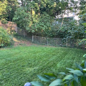 grass cutting by CCH Homes Llc reviewed on August 1, 2025
