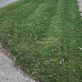 grass cutting by Johnson lawn services  reviewed on October 3, 2023