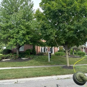 lawn care by WBPM reviewed on August 18, 2025