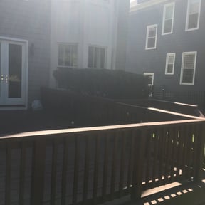 Bush Trimming by Murillo Services reviewed on August 16, 2025