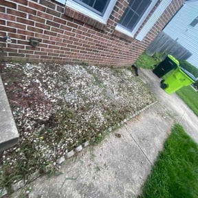 Flower Bed Weeding by James Neely Landscape reviewed on November 10, 2025