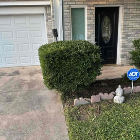 Bush Trimming by Lowcountry yard maintaince reviewed on August 18, 2025