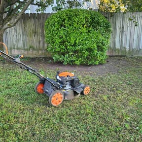Bush Trimming by Greg's Landscaping reviewed on August 21, 2025