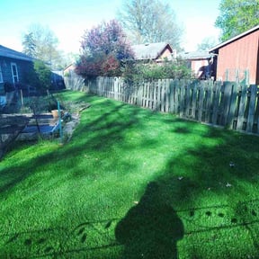 lawn service by Andrews Landscaping reviewed on July 21, 2023