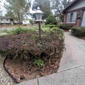 Bush Trimming by Gibson&#039;s Lawn Care Services reviewed on June 10, 2021