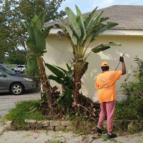 Bush Trimming by SON SHINE LAWNS LLC reviewed on August 19, 2025
