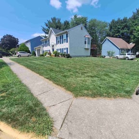 yard work by Lawnstars reviewed on August 15, 2025