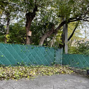 Bush Trimming by Stellar Lawn Care LLC reviewed on August 17, 2025