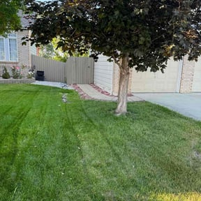turf maintenance by Mower man reviewed on June 20, 2025